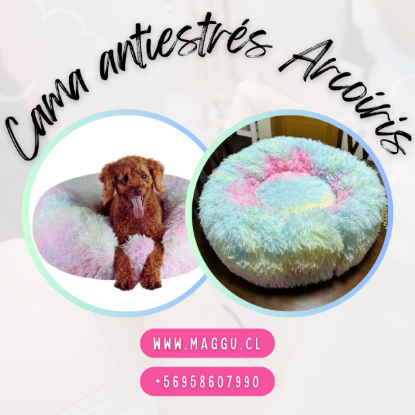 Cama Arcoiris Anti-estrés – Funda desmontable Full cómoda